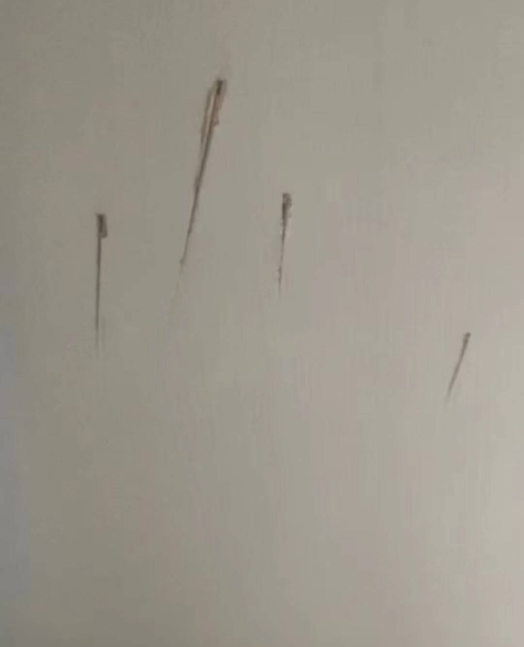 墨尔本骑士 v 欧克莱卡诺
_陕西一护士被同居男友杀害墨尔本骑士 v 欧克莱卡诺
,日记称长久遭受暴力威胁,家属希望追加虐待罪名,最新进展