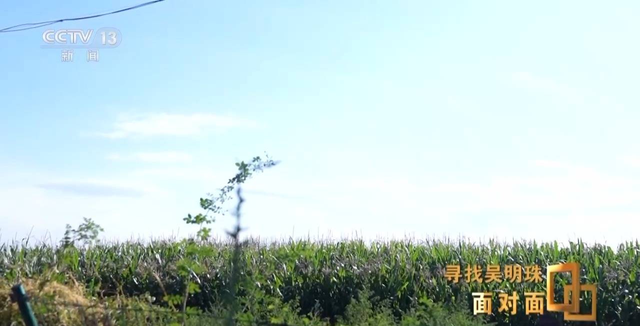 皇冠信用网出租足球
_面对面丨中国人的吃瓜自由要感谢她皇冠信用网出租足球
!吴明珠说她的一生就是结几个好瓜献给人民