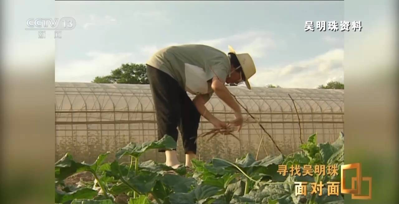 皇冠信用网出租足球
_面对面丨中国人的吃瓜自由要感谢她皇冠信用网出租足球
!吴明珠说她的一生就是结几个好瓜献给人民