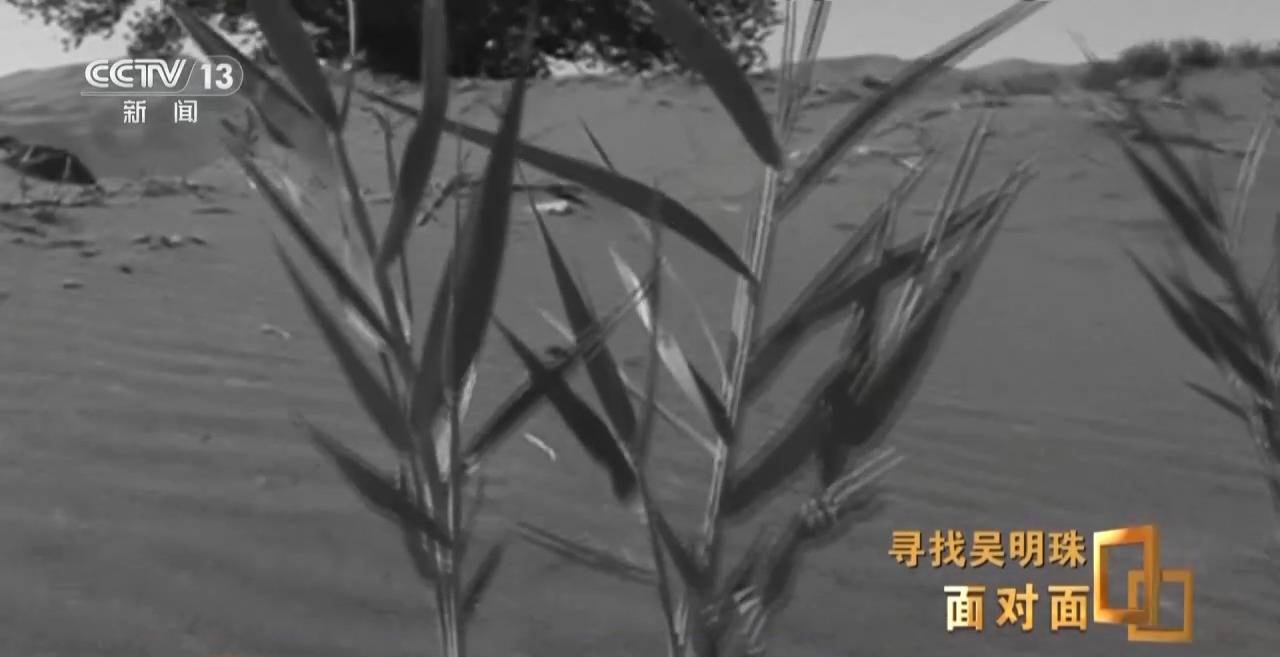 皇冠信用网出租足球
_面对面丨中国人的吃瓜自由要感谢她皇冠信用网出租足球
!吴明珠说她的一生就是结几个好瓜献给人民