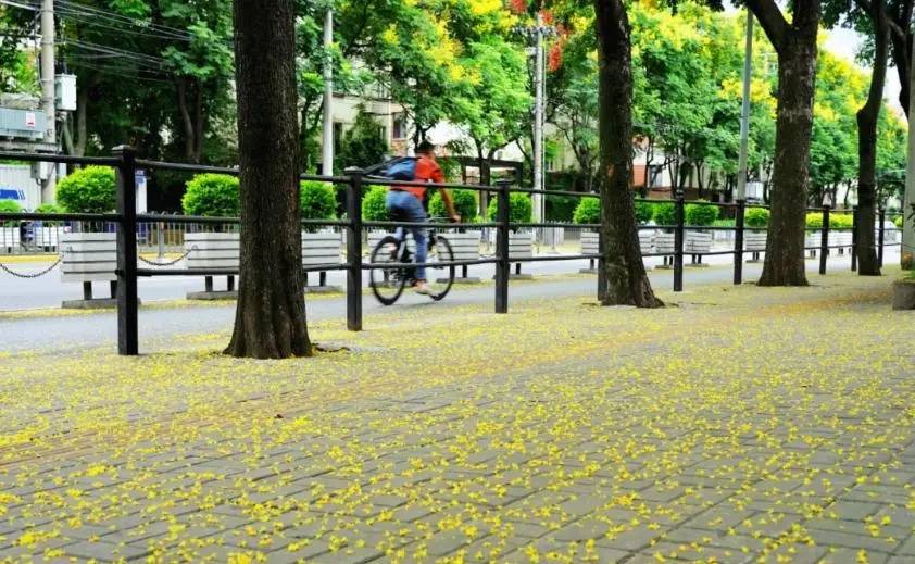 皇冠信用網代理如何注册_上海天气大反转!雨水+冷空气来袭皇冠信用網代理如何注册,气温将骤降...“差不多行了,再热就不礼貌了”